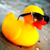 randoduck7